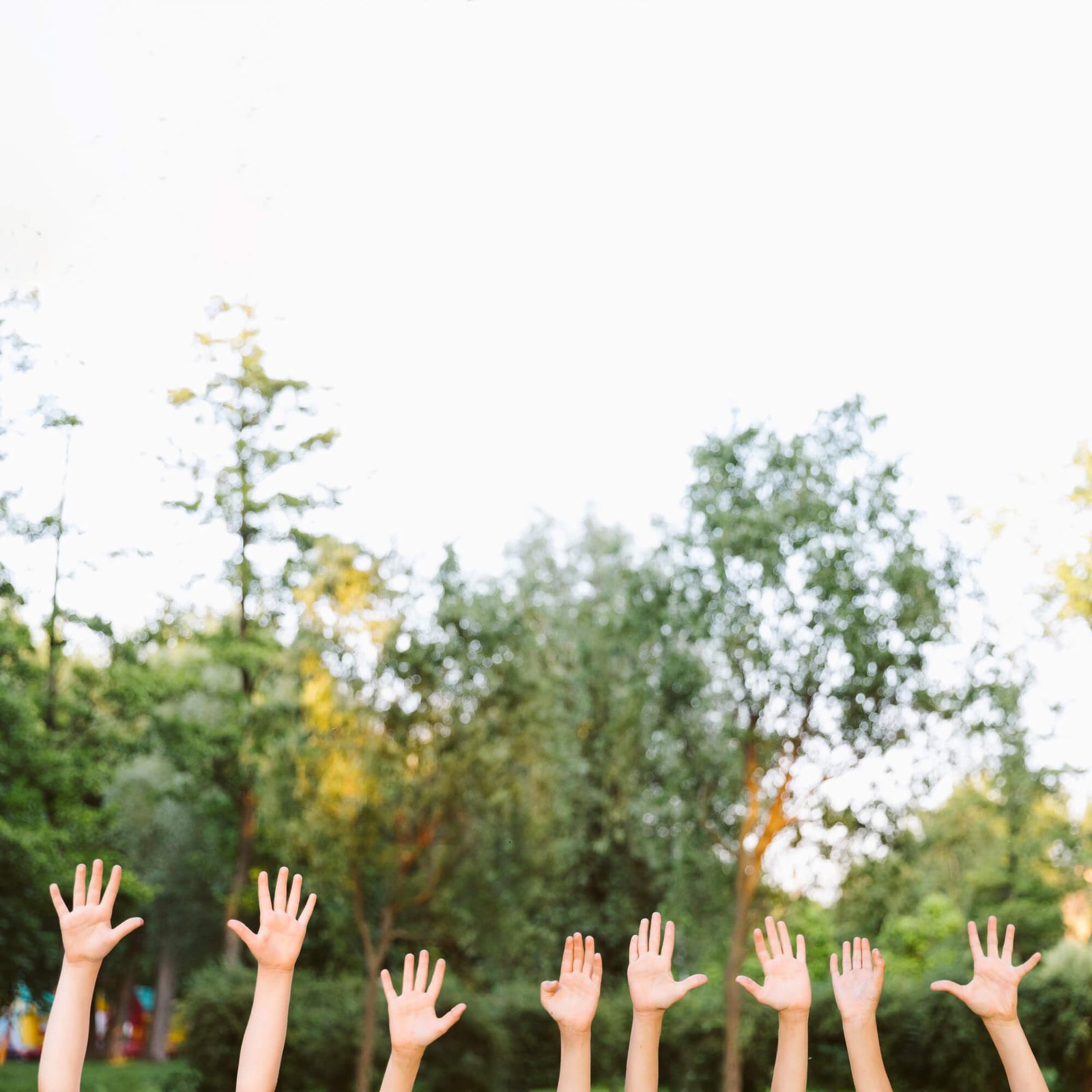 Personas que participan en una actividad comunitaria